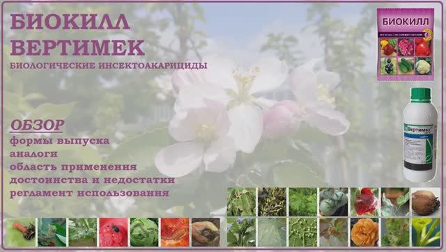 Биокилл и Вертимек - биологические средства от вредителей и клещей. Обзор инсектоакарицидов