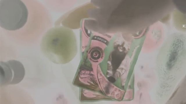 Kitekat 2018 Еда энергичных кошек Effects GAME144ONATE