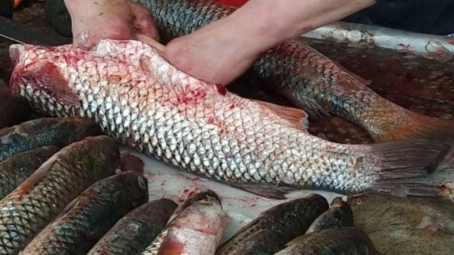 Разделка рыбы на рынке за 3 мин