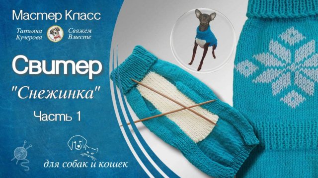 Как связать Свитер "Снежинка"для собак и кошек на двух спицах, часть 1