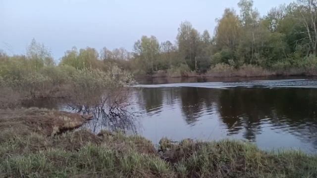 Тест мотора Lifan 8л.с. лодка HDX boats 320.