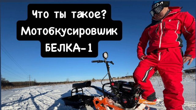 Мотобуксировщик Белка-1. Большой тест и мнение о недорогой мотособаке.