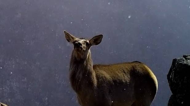 Заповедное селфи