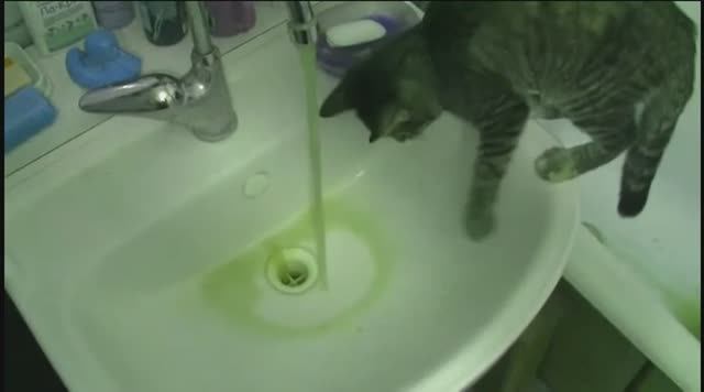 Вода в Звенигороде – 2014