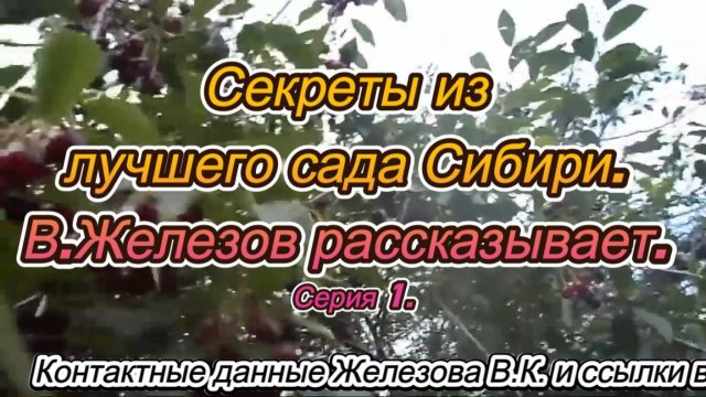 Секреты из лучшего сада Сибири. В.Железов рассказывает. Серия 1.