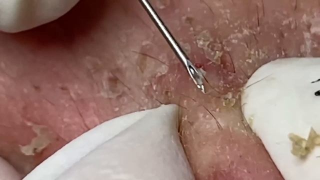 Enjoy Every Day With The Best Video Loan Nguyen Spa Official 2334