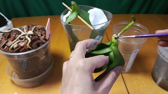 Рибав-Экстра, такого я еще не делала!