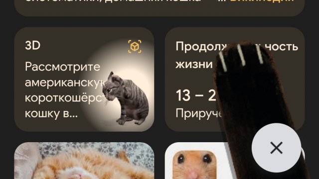 Лайфхаки в Google