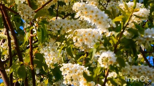 КРОХОБОРКА #аудио рассказ #истории о наглых родственниках