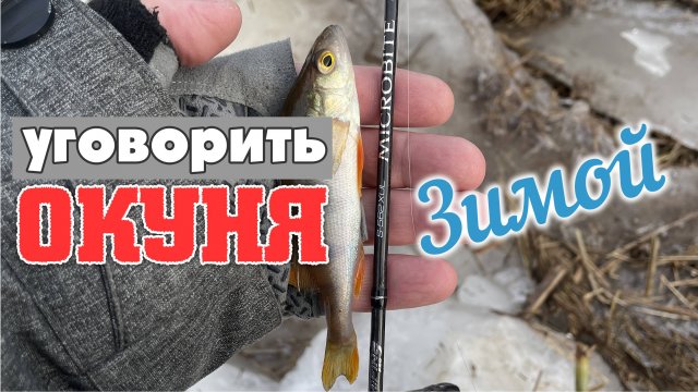 ХИТРЫЙ Зимний ОКУНИШКА! Работаю Mifine Microbite 168см 0-2гр. ВЕРХ ТЕСТА! #микроджиг #дропшот