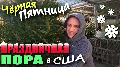 Покупки на $1700 в Black Friday/ Нарядили Ёлку, украсили дом и улицу! Празничная пора, а мы болеем