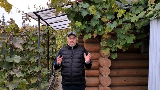 Как приготовить ВКУСНОЕ ДОМАШНЕЕ ВИНО: простой и быстрый рецепт из винограда.
