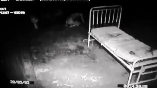 The Russian Sleep Experiment (Classic Creepy Reading)