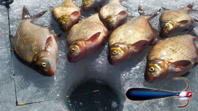 ВОЛШЕБНАЯ ЛУНКА №13 выдала 13 подлещей подряд !!!  ЧЁРТИК делает вещи !!!