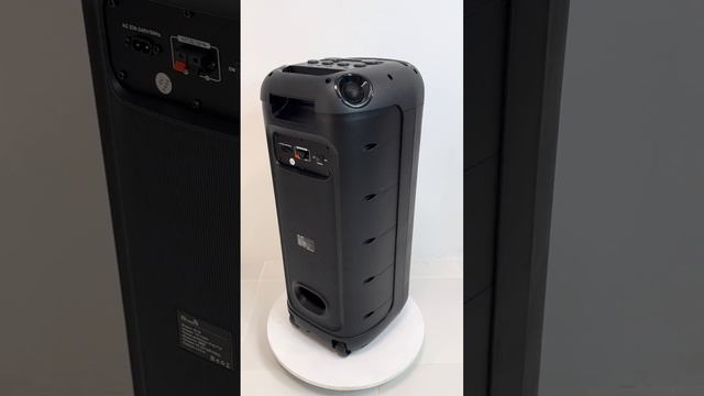 Портативная колонка Eltronic 30-29 (1000 Ватт)