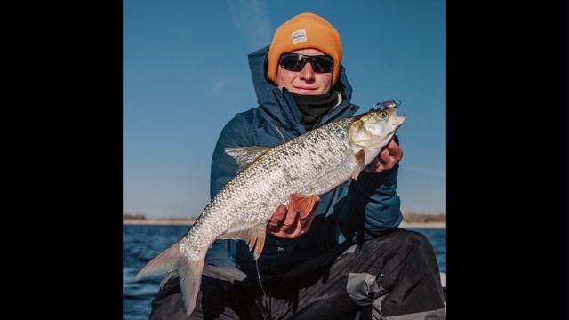 Видеоролик