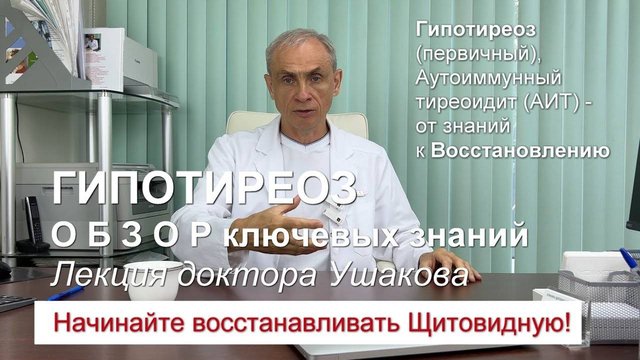 Гипотиреоз - от сущности к диагностике и лечению. Обзор. Лекция. // Доктор Ушаков