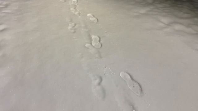 Лес
