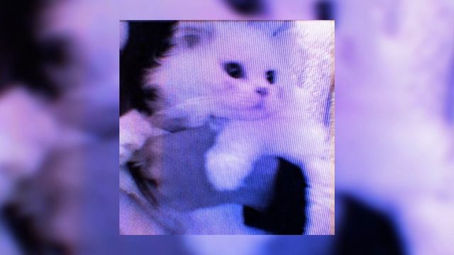 flёur-Тёплые Коты[когти могут впиться в ногу,но нога же ведь не сердце] (speed up)