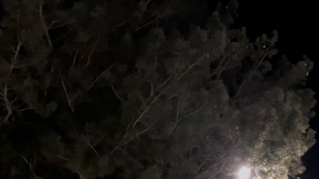Ночь
