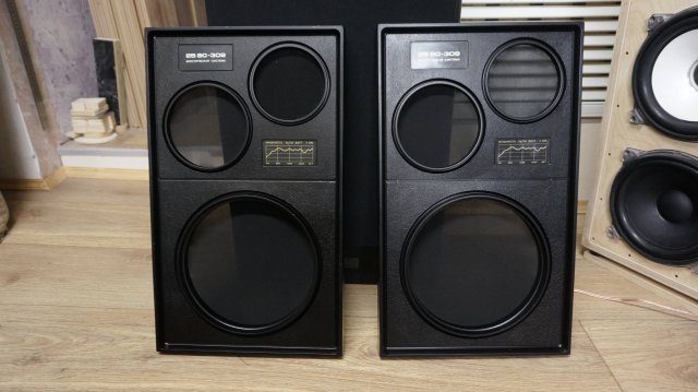 Акустика ВЕГА 25 АС-109 (309), Тест после доработки, новые панели. Запись c рекордер Zoom H4n