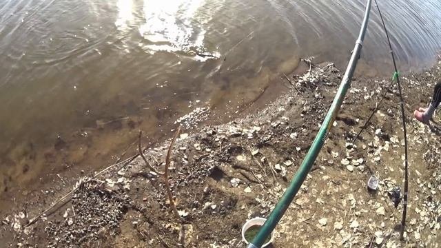 Первая весенняя рыбалка на карася 2023.Ловля карася на  поплавочную удочку.РЫБАЛКА В АСТРАХАНИ.