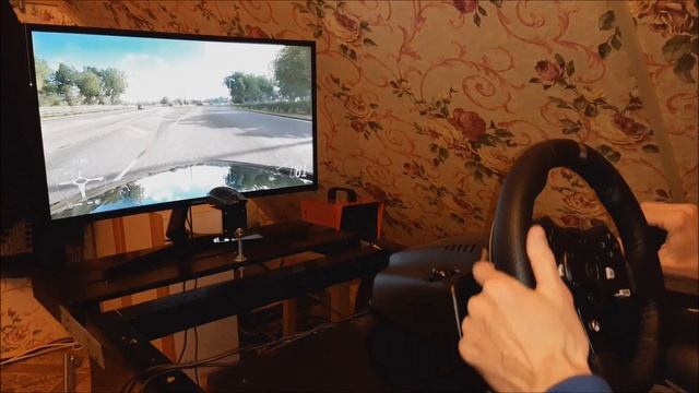 КАК  ИДЕАЛЬНО НАСТРОИТЬ ВАШ РУЛЬ В FORZA HORIZON 4