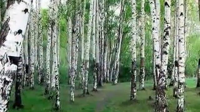 Во поле березка стояла (Смысл песни)