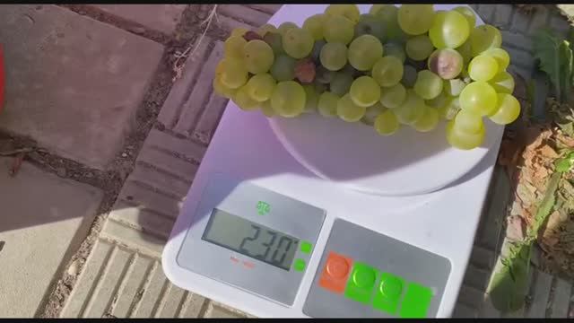 Виноград Буковинка