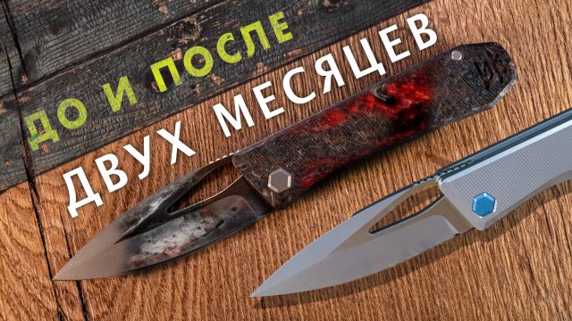 Использовал ПРЕМИАЛЬНЫЙ нож 2 месяца: что с ним произошло? DK Stinger