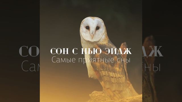 Нежное солнце