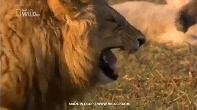 Ххххх