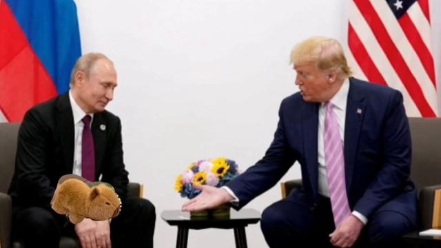 Капибара