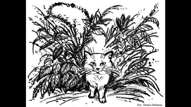 Дина Крупская. МРНЫ: почти правдивая история. Отрывки из части 2. Читает автор