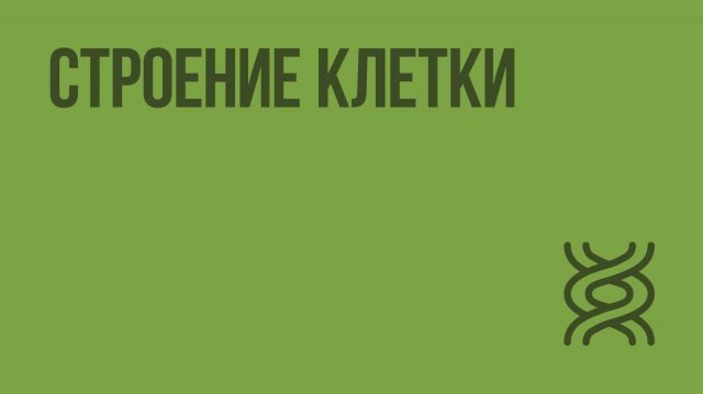 Строение клетки. Видеоурок по биологии 9 класс