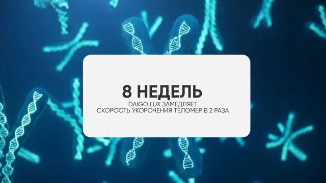 Дайго Дмитрий Федоров Best Business Awards