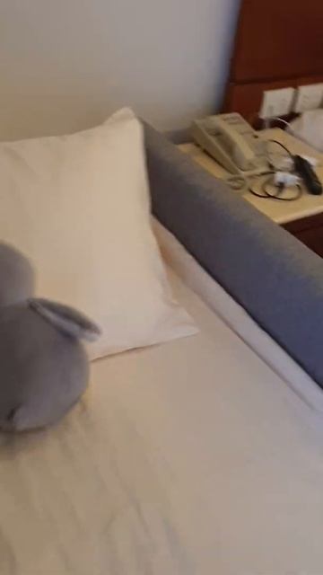 Гостиница Fun&Sun Family Albatros Palace 5*