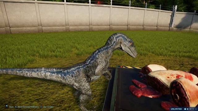 Jurassic World Evolution - Blue Velociraptor VS Dilophosaurus Breakout and Fight!