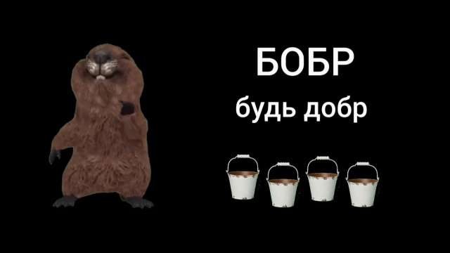 Бобр. Сидим с бобром за столом .mp4