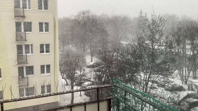 Новогодний vlog🎄❄️2021-2022