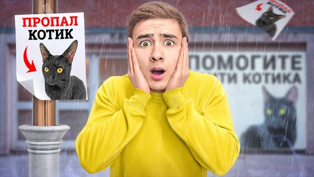 Кто-то Похитил Котика Лайка ?