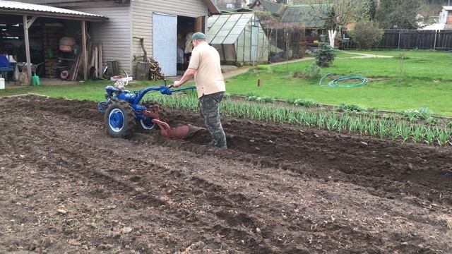 Мотоблок МТЗ 05 Вспашка в 2024 году. Весна.