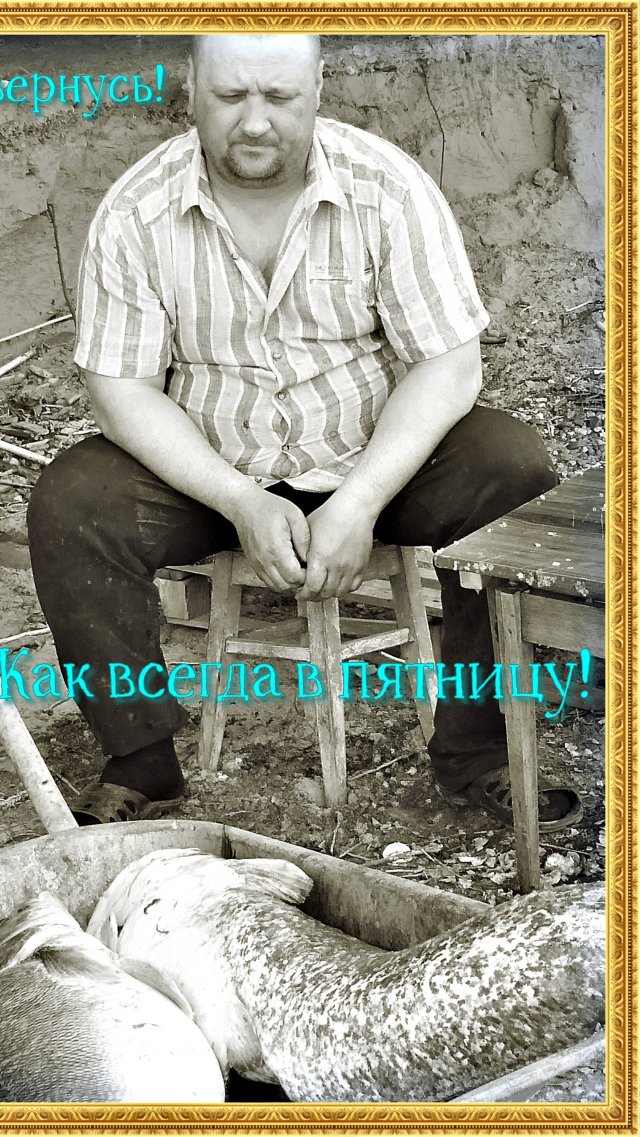 Нашел красавицу!