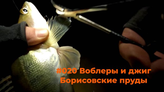 #020 Рыбалка Борисовские пруды