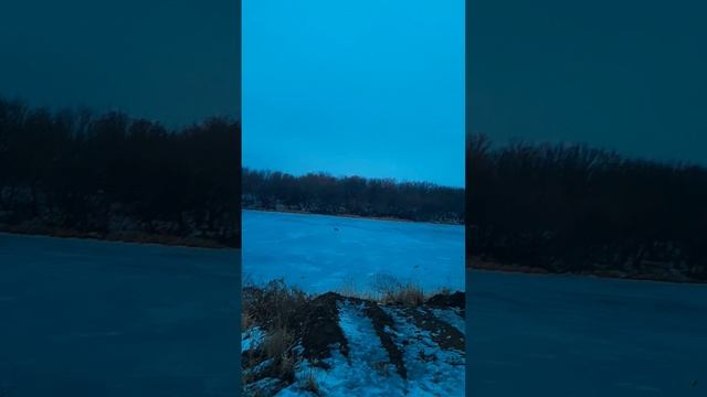Бэлла с хозяином (все про все)