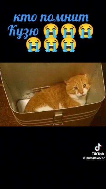 Кузя 😭😭😭😭😭