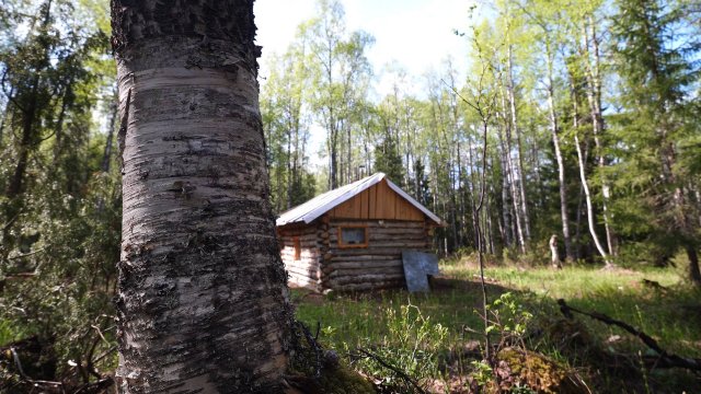 Проверил избушку. Крупный хариус на удочку. Ночь под ёлкой.