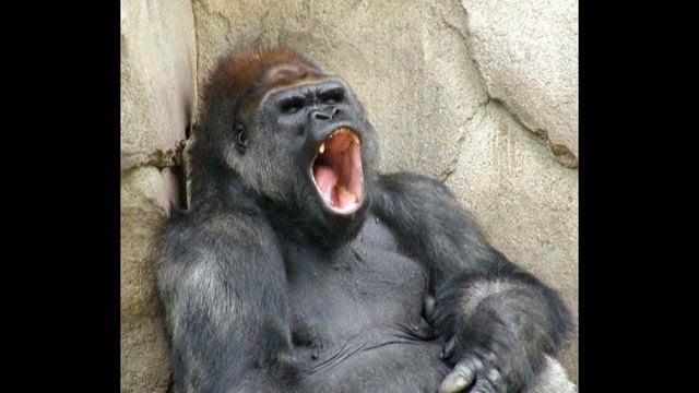 ТОП 10 ИНТЕРЕСНЫХ ФАКТОВ О ЧЕЛОВЕКЕ, шокирующие факты