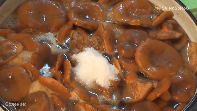 Как приготовить грибы рыжики