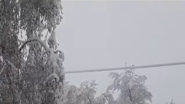 Красноярск.Снег на .9 05. 16 г.